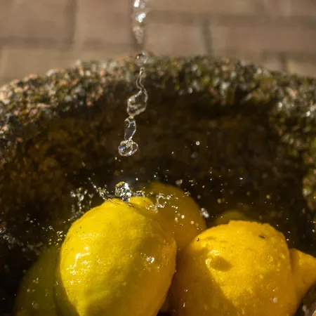 Country Limone *